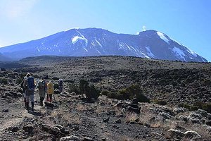 Kilimandjaro 