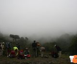 Nebel am Kilimanjaro